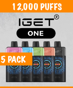 5 PACK – IGET ONE – 12000 PUFFS